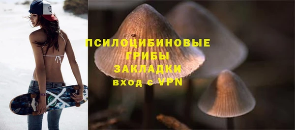 гидропоника Армянск