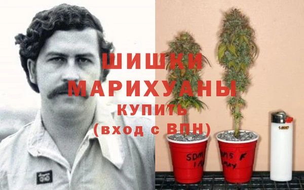 гидропоника Армянск
